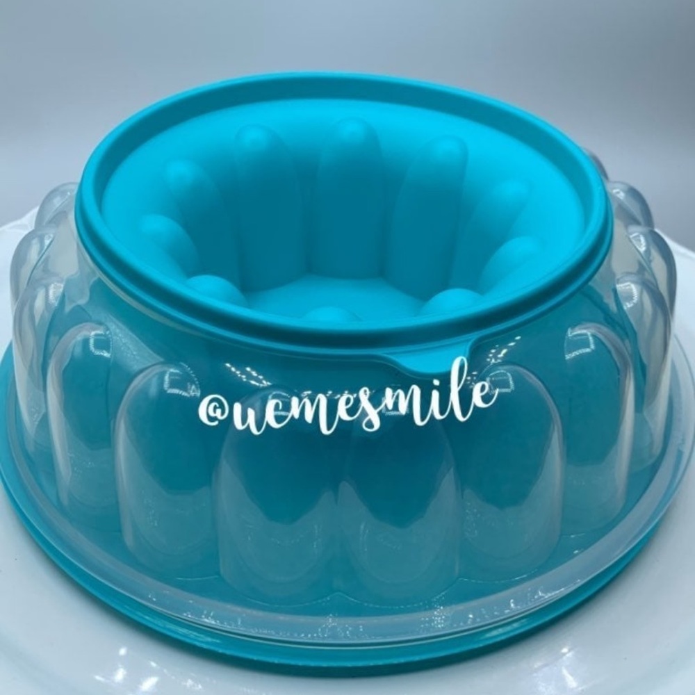 Tupperware Jello Jel-Ring Mold in Aqua